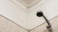 Ni vinagre ni bicarbonato: el "borrador mágico" para eliminar las manchas de humedad de las paredes