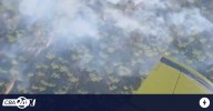 Bomberos contuvieron un incendio de pinares y bosque nativo en Calamuchita