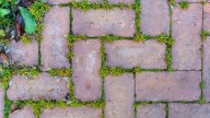 The Household Solution That Fights Off Unwanted Weeds In The Garden