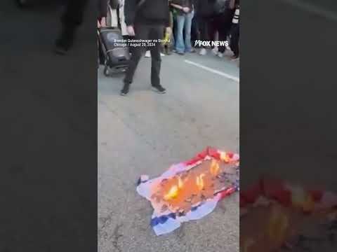 Trump signs executive order mandating the prosecution of flag burners #trump #shorts #news #flag