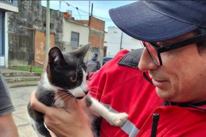 Bomberos rescataron un gato atrapado en un motor en Concepción del Uruguay