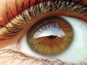 Genetic disorders drive childhood blindness in Pakistan