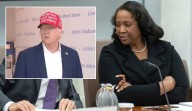 Trump Says He’ll Fire Top Fed Official If She Refuses to Resign