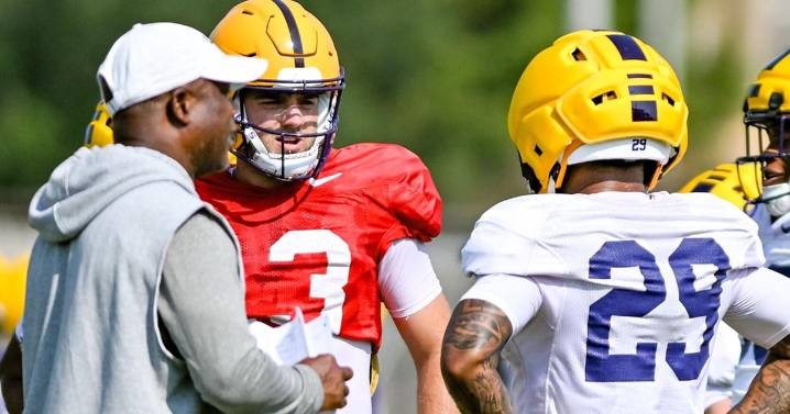 Scott Rabalais: Five of my observations from one week of LSU preseason football practice