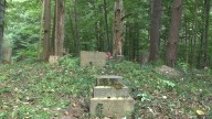 Eagle scout hopeful restoring local cemetery in Town of Elmira