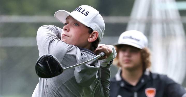 Daily Chronicle 2025 Boys Golf Preview: Team-by-team capsules – Shaw Local