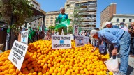 El Consell reordena su defensa del trasvase y reclamará más control en la cabecera del Tajo