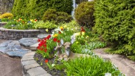 The Deer-Resistant Summer Flower That Yields Gorgeous Fall Blooms