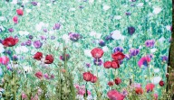 Pao Houa Her’s Images Tell the Story of Hmong Exiles