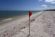 Marea roja en Yucatán: Implementan tres colores de banderas en playas ¿Cuáles son y qué significan?