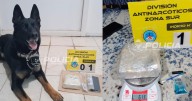 Detienen a un pasajero con más de medio kilo de cocaína en la Ruta 237: un perro detectó la droga