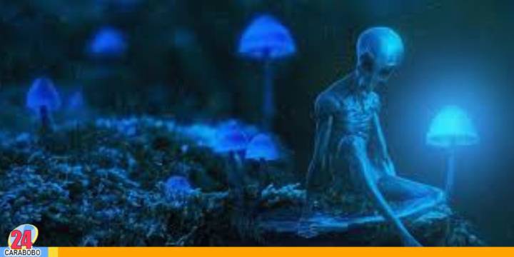 Videntes predicen encuentro con extraterrestres este 2025