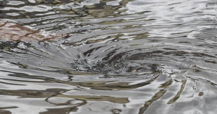 Record-breaking amounts of rain flooded Charleston area