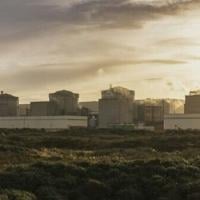 Jellyfish force French nuclear plant shutdown