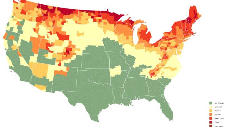 See weekly fall foliage predictions for Vermont, per Smoky Mountains