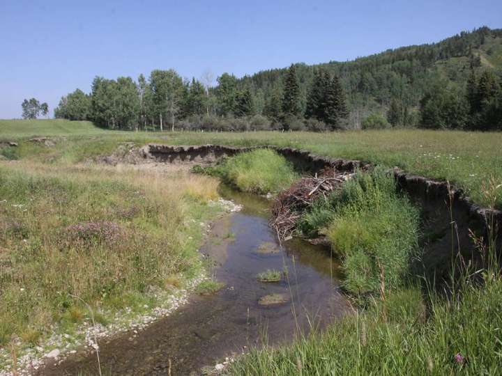 Alberta eases water access for riparian restoration