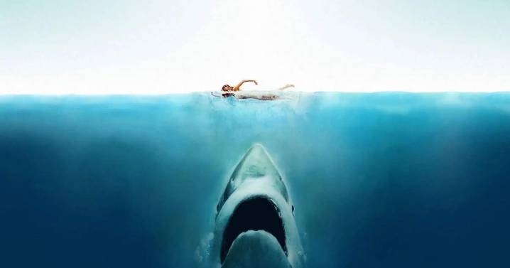 As Ocean Water Gets Worse, Sharks' Teeth Start to Dissolve