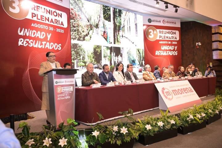 Rosa Icela llama a diputados a aprobar reforma electoral y ceñirse a la austeridad