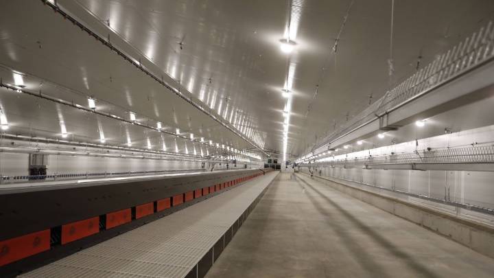 Granjas Camis invierte 11 millones para exportar embriones desde León
