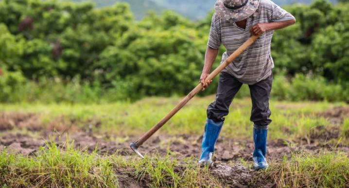 AGAP: “Con la nueva ley agraria podremos duplicar las agroexportaciones peruanas en 10 años” | agap | Ley Agraria 