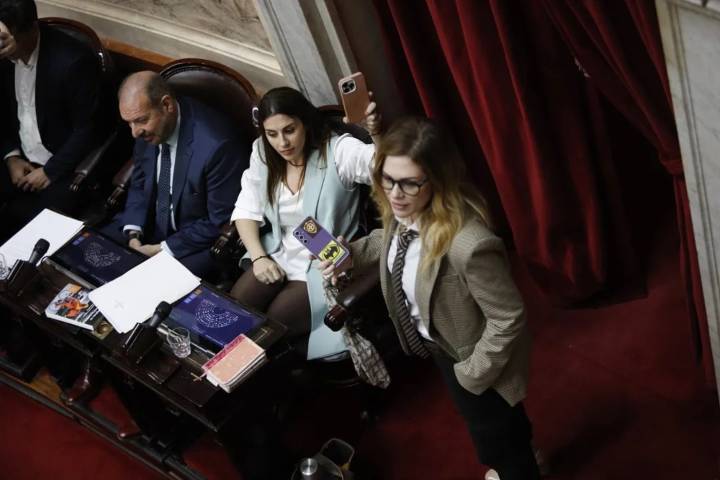 Revelan un chat entre Lilia Lemoine y Martín Menem en plena sesión: "Es culpa de Santi Caputo"