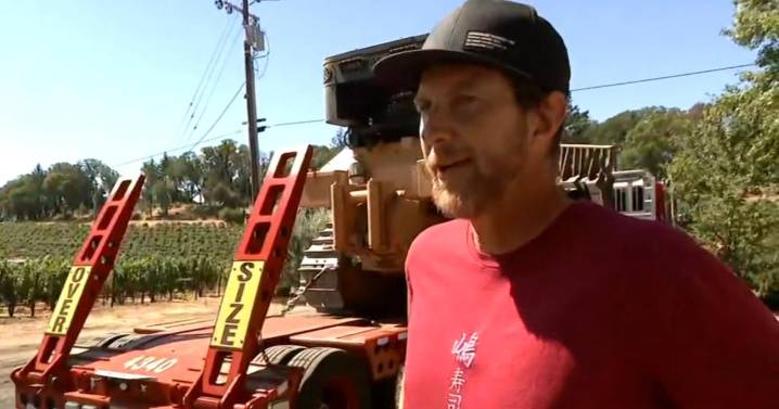 Wildfire smoke threatens California vineyard impacted by 2020 blaze: "It tasted like licking an ashtray"