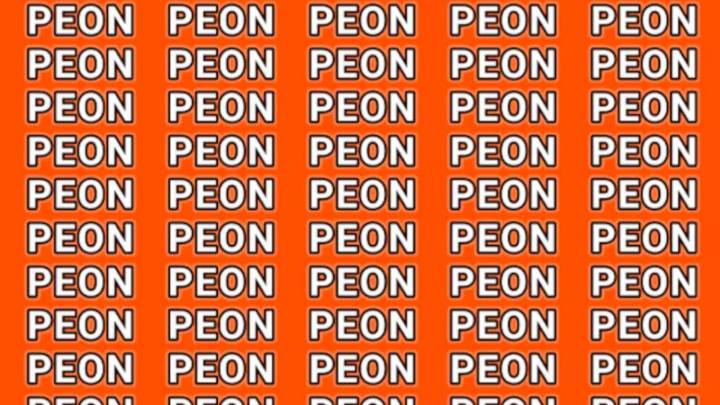 Acertijo visual: solo las personas con vista de halcón podrán encontrar la palabra LEÓN en tiempo récord