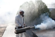 Reporta Coahuila disminución del 95 por ciento en casos de dengue