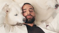 How Maluma’s Four Dogs—Buda, Karma, Bonnie, and Clyde