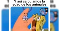 Día del Veterinario: Festeja a los 'dogtores' con estos divertidos memes