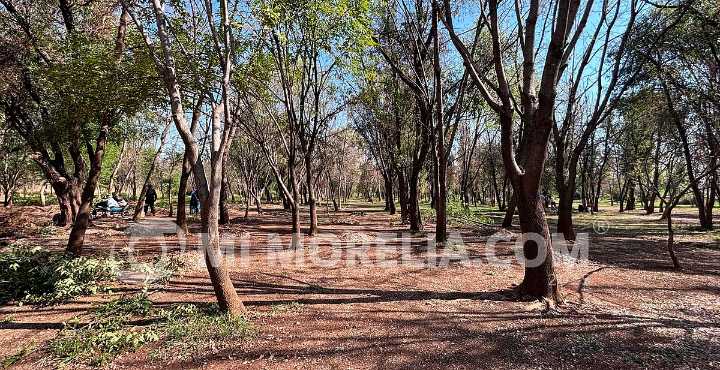 Avanza proyecto de rehabilitación del Arboretum; cercado, senderos e iluminación, en primera fase