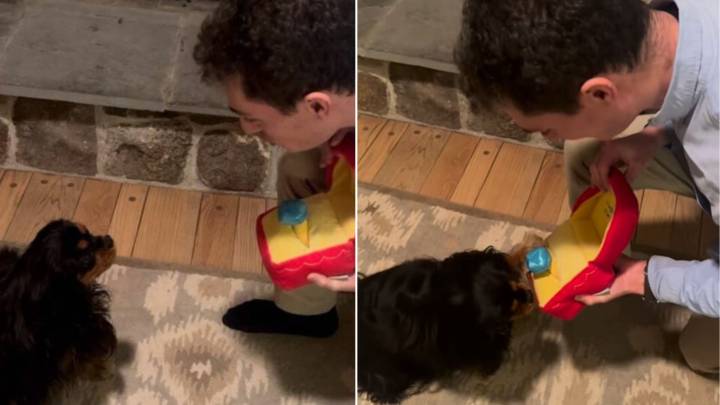 New York Man’s Proposal Comes With A Twist That Made Both The Woman And Her Dog Say Yes