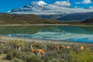Turismo en Chile vivirá auge en los próximos 15 años: estas es la cantidad de extranjeros que vendrán, según nuevo estudio
