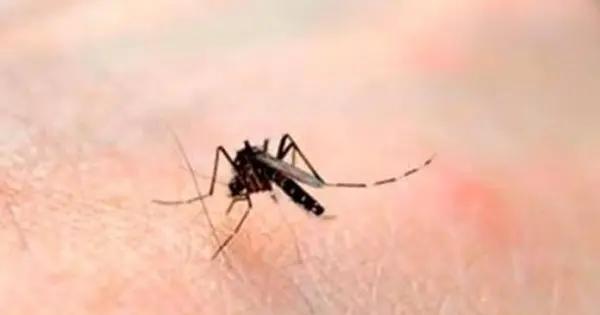 Detectan más casos de dengue en la Huasteca Norte