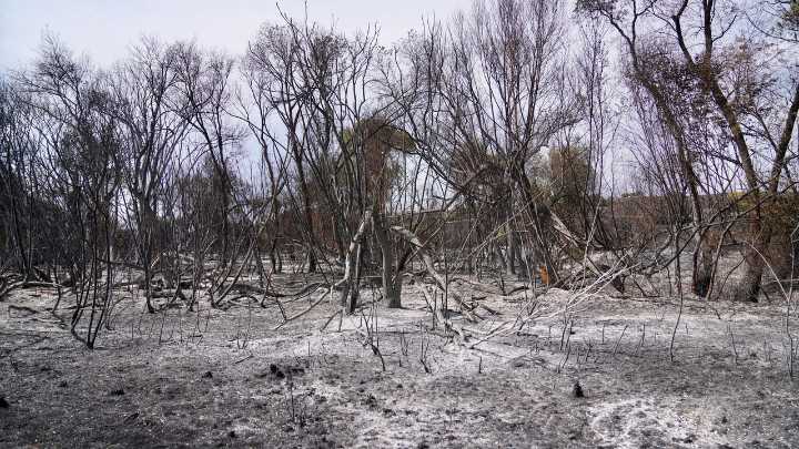El incendio de Tres Cantos arrasó casi 2.000 hectáreas, más de la mitad en Madrid