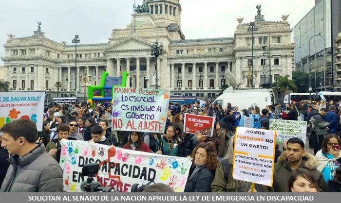 SOLICITAN AL SENADO DE LA NACION APRUEBE LA LEY DE EMERGENCIA EN DISCAPACIDAD