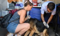 Veterinaria y zoonosis