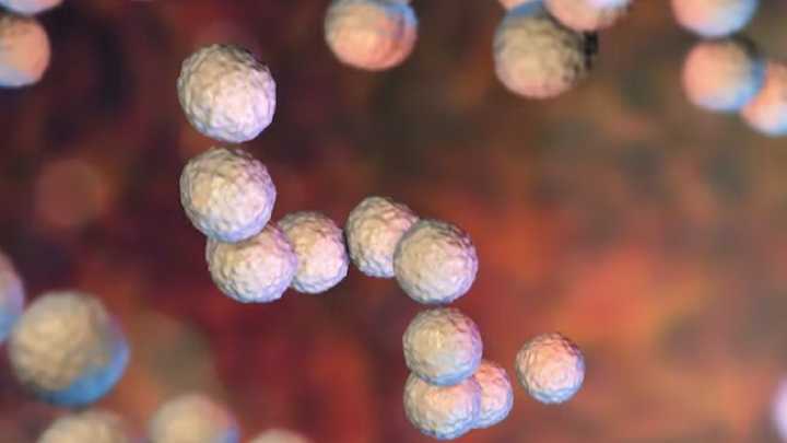Alerta sanitaria por el nuevo y misterioso riesgo de Ozempic y Wegovi: ¿Qué ocultan?