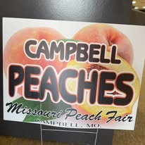 Fried peach pie anyone? Missouri Peach Fair begins August 8th (LISTEN)