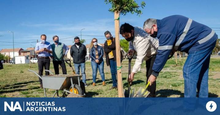 Crece una novedosa forma de solidaridad: donar árboles a los municipios