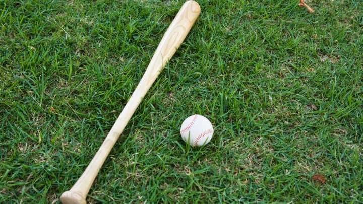 Haddonfield Little Leaguer's bat nets close to $10K in auction