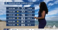 Sunday's Forecast: Sunny skies with passing showers throughout the day