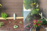 Salonen: My garden has brought me closer to God