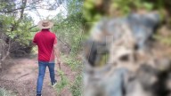 Colectivo de Búsqueda Localiza Restos Humanos en Brecha El Berrendo en Reynosa