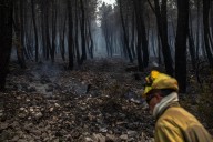 Aragón despliega medios aéreos y brigadas en el operativo estatal contra incendios