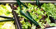 Urgent food recall warning over bags of salad sold at Aldi, Lidl and Tesco