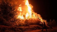 La directora de Protección Civil pide extremar la precaución: "Tenemos 20 incendios forestales en situación operativa 2"