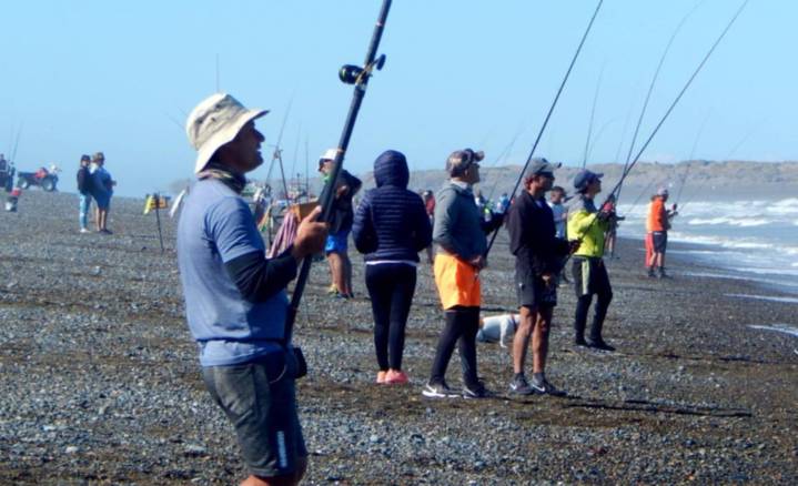 Mañana se disputa el concurso la «Fiesta del Róbalo»