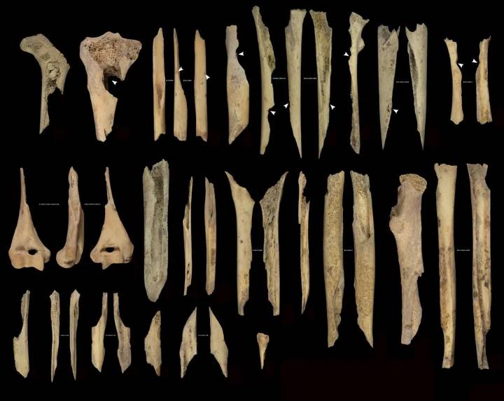 Cannibals ‘cooked & ate’ humans 6,000-years-ago in bizarre rituals as human bones found riddled with bite marks