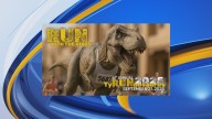 New Mexico Museum of Natural History Foundation to host 6th annual TyRUNnosaurus event